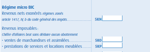 Impôts sur le revenu micro entreprise 2024